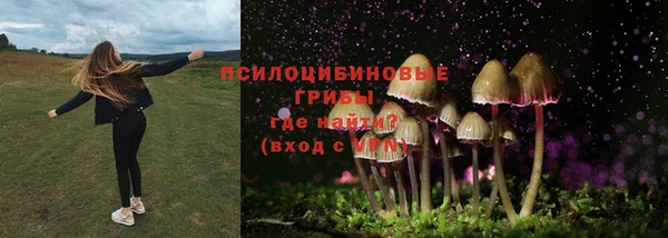 сатива Медвежьегорск